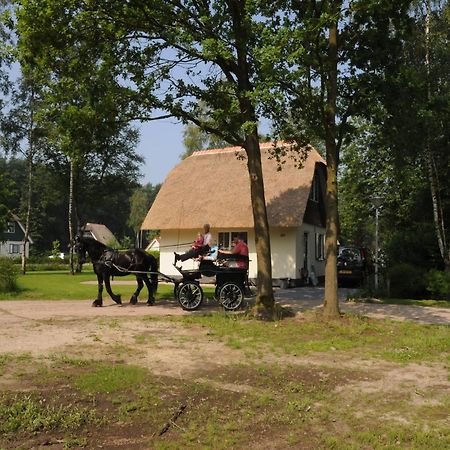 Beautiful Holiday Home In Heeten With Private Garden Eksteriør billede