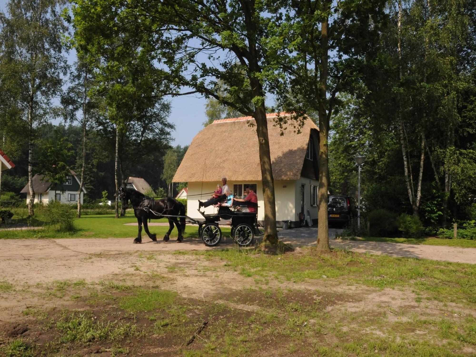 Beautiful Holiday Home In Heeten With Private Garden Eksteriør billede